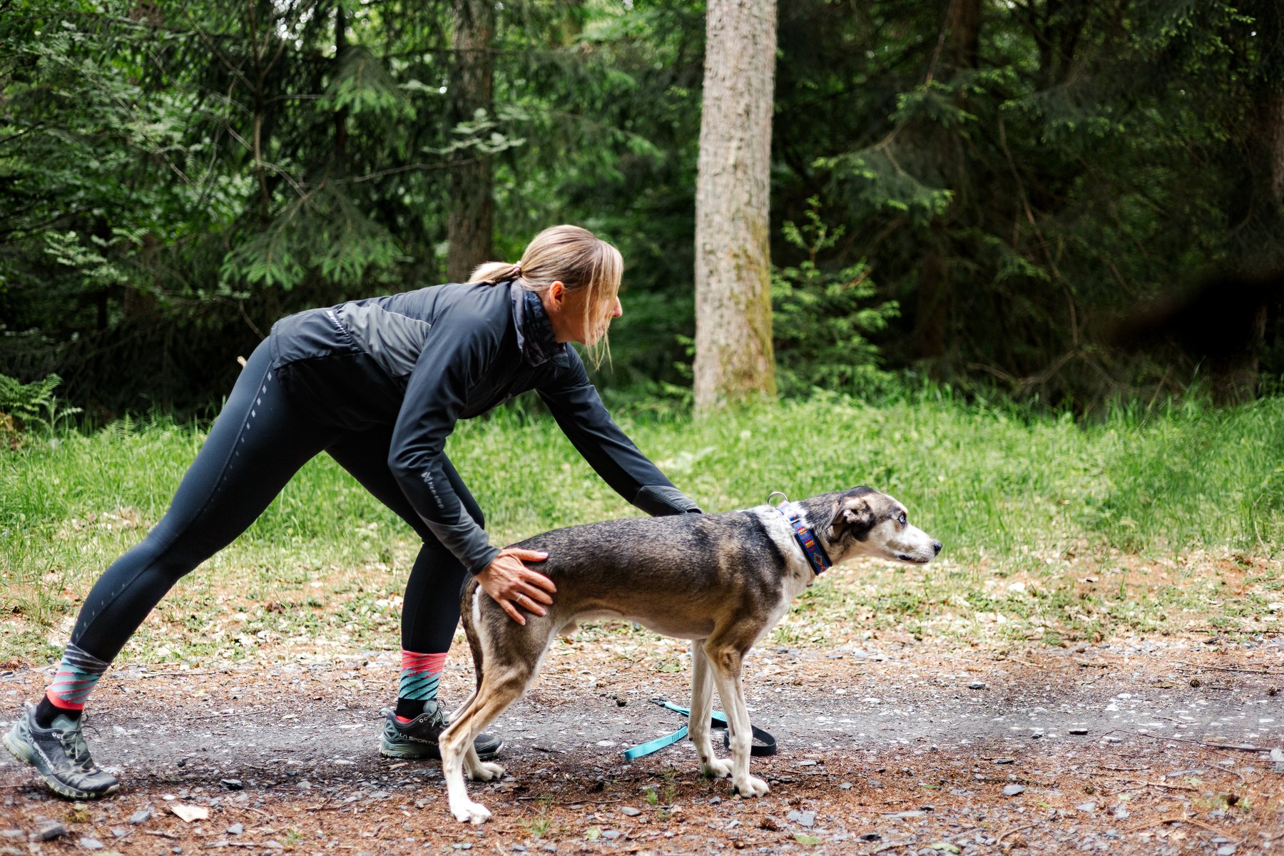 Zughundesport Einsteigerworkshop bei FastPawCrew